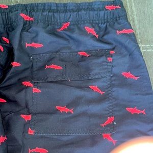 Men’s swim quick dry trunks